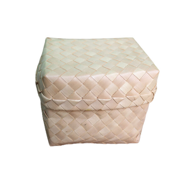 Palm Leaf  Container